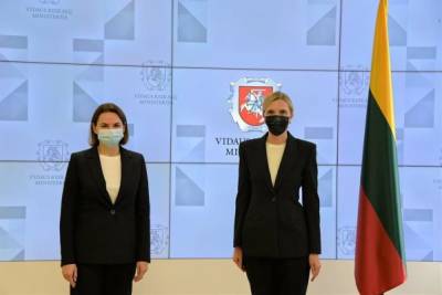Александр Лукашенко - В Литве рассказали о количестве белорусов, попросивших у Вильнюса убежища - eadaily.com - Белоруссия - Литва - Вильнюс