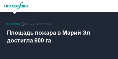 Площадь пожара в Марий Эл достигла 600 га - interfax.ru - Москва - респ. Марий Эл - район Медведевский - Марий Эл