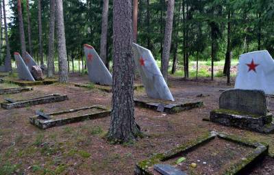 Эмари: самое необычное кладбище советских военных лётчиков - russian7.ru - Россия - Эстония