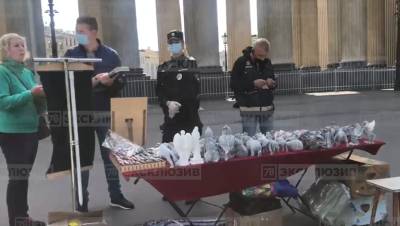 В Петербурге сотрудники полиции разгоняют торговцев у Казанского собора - dp.ru - Санкт-Петербург - Казань