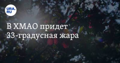 В ХМАО придет 33-градусная жара - ura.news - Ханты-Мансийск - Югра