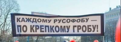 Александр Хинштейн - Украинские и польские русофобы попадут под действие закона... - politnavigator.net - Россия - Украина - Польша