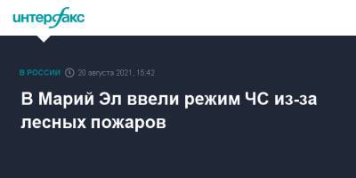 Александр Евстифеев - В Марий Эл ввели режим ЧС из-за лесных пожаров - interfax.ru - Москва - респ. Марий Эл - Марий Эл