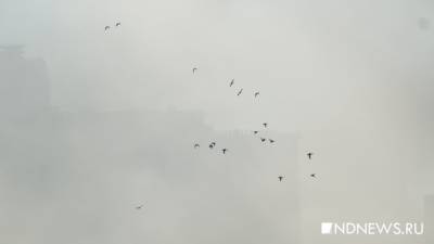В выходные смог в Екатеринбурге может усилиться - newdaynews.ru - Екатеринбург - Свердловская обл. - Первоуральск
