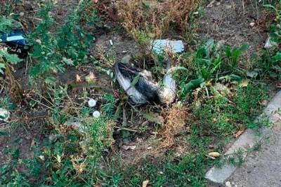 В Подмосковье обнаружили большое количество мёртвых уток - govoritmoskva.ru - Россия - Московская обл. - Подольск - городское поселение Ленинский