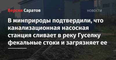 В минприроды подтвердили, что канализационная насосная станция сливает в реку Гуселку фекальные стоки и загрязняет ее - nversia.ru - Саратов - Экология