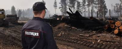 Александр Евстифеев - В Марий Эл из-за лесных пожаров ввели режим ЧС - runews24.ru - респ. Марий Эл