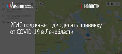 2ГИС подскажет где сделать прививку от COVID-19 в Ленобласти - ivbg.ru - Украина - Ленинградская обл.