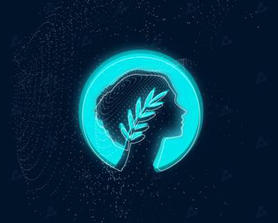 Metis DAO опубликовал дорожную карту: разработчики запустят мейннет и проведут хакатон - forklog.com