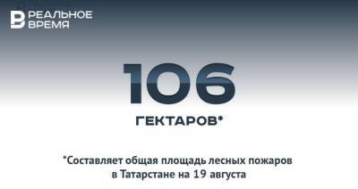 Общая площадь лесных пожаров в Татарстане составила около 106 га — это много или мало? - realnoevremya.ru - Башкирия - респ. Татарстан - Пермский край - Оренбургская обл. - Самарская обл. - республика Мордовия