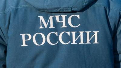 Появилось видео встречи пропавшей годовалой девочки с мамой под Смоленском - 5-tv.ru - Смоленск - Смоленская обл. - Следственный Комитет