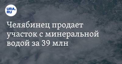 Челябинец продает участок с минеральной водой за 39 млн. Скрин - ura.news - Челябинск