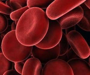 8 проверенных временем рецептов для улучшения состава крови - goodnews.ua