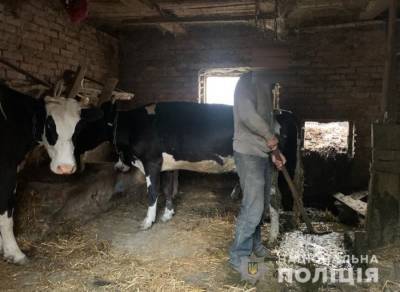 Пожилая женщина на Волыни удерживала в рабстве троих мужчин - agrimpasa.com - Луцк