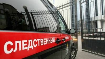 Следователи опровергли информацию о похищении 16-летней девушки в Дзержинске - vgoroden.ru - Россия - Дзержинск - Нижегородская обл. - Нижний Новгород - Следственный Комитет