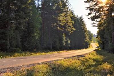 До 26 градусов тепла ожидается в Беларуси 21 августа - grodnonews.by - Белоруссия