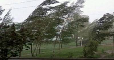 В Луганске дождь с градом, гроза и шквалистый штормовой ветер свыше 80 км в час. МЧС срочно объявило штормовое предупреждение - cxid.info - Луганск