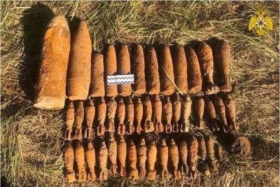 В Тверской области нашли 32 мины - tver.mk.ru - Россия - Тверская обл.