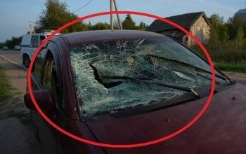 Пьянущий москвич час назад едва не убил вологодского пенсионера - vologda-poisk.ru - Московская обл.