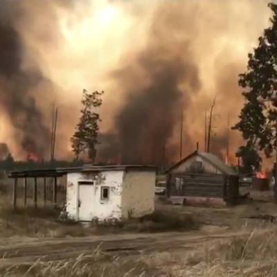 Один из двух очагов пожара в Мордовском природном заповеднике локализован - radiomayak.ru - Нижегородская обл. - республика Мордовия
