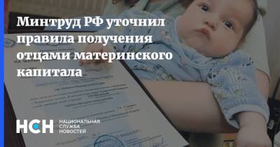 Минтруд РФ уточнил правила получения отцами материнского капитала - nsn.fm - Россия