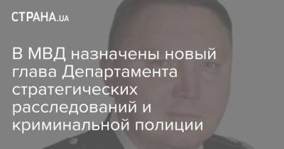 Михаил Кузнецов - В МВД назначены новый глава Департамента стратегических расследований и криминальной полиции - strana.ua - Украина - Луганская обл. - Донецкая обл.