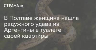 В Полтаве женщина нашла радужного удава из Аргентины в туалете своей квартиры - strana.ua - Украина - Киев - Аргентина - Полтава