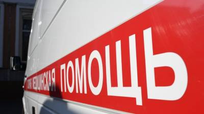 В Ростовской области в ДТП с микроавтобусом пострадали 11 человек - russian.rt.com - Ростовская обл. - Сальск