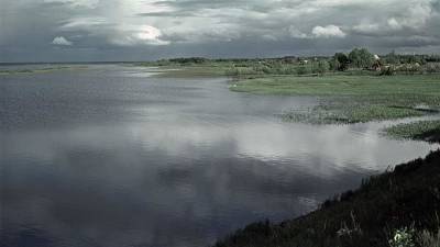 Пропавшая в Ярославской области женщина найдена мертвой у водохранилища - iz.ru - Россия - Израиль - Ярославская обл.
