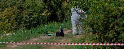 В убийстве девочки из Тюмени подозревают серийного маньяка - runews24.ru - Тюмень