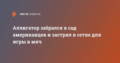 Аллигатор забрался в сад американцев и застрял в сетке для игры в мяч - ren.tv - USA - шт.Флорида