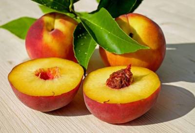Марина Аплетаева - Агроном перечислил неочевидные признаки вкусных персиков - online47.ru