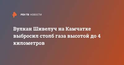 Вулкан Шивелуч на Камчатке выбросил столб газа высотой до 4 километров - ren.tv - Камчатский край - Усть-Камчатск