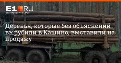 Деревья, которые без объяснений вырубили в Кашино, выставили на продажу - e1.ru - Екатеринбург