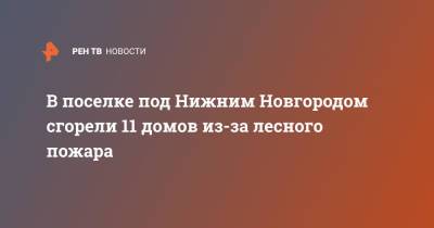 Александр Евстифеев - В поселке под Нижним Новгородом сгорели 11 домов из-за лесного пожара - ren.tv - Россия - Нижегородская обл. - Нижний Новгород - респ. Марий Эл - республика Мордовия