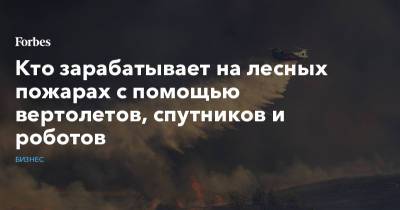 Кто зарабатывает на лесных пожарах с помощью вертолетов, спутников и роботов - forbes.ru