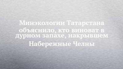 Минэкологии Татарстана объяснило, кто виноват в дурном запахе, накрывшем Набережные Челны - chelny-izvest.ru - респ. Татарстан - Набережные Челны - Экология