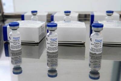 Александр Гинцбург - «Спутник Лайт» усилит эффект от прививок Pfizer - lenta.ru - Россия