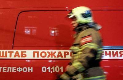 Александр Евстифеев - В Марий Эл вводят режим ЧС из-за лесных пожаров - newzfeed.ru - Россия - респ. Марий Эл - район Звениговский