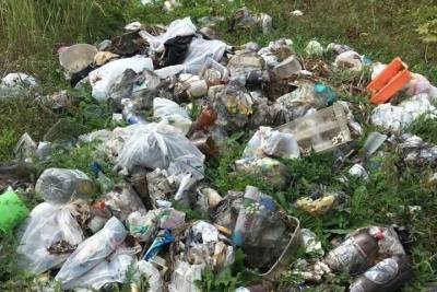 Жители Пронского района пожаловались на сброшенный за участками мусор - rzn.mk.ru - район Пронский