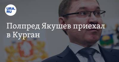 Владимир Якушев - Вадим Шумков - Полпред Якушев приехал в Курган - ura.news - Курганская обл.