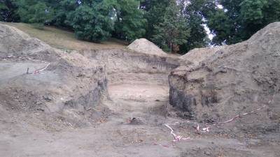 На Житомирщине во время установки 50-метрового флагштока нашли останки мамонта - vchaspik.ua - Украина - Коростень