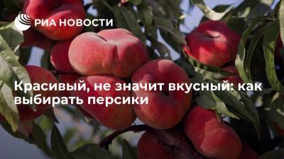 Агроном Викулов: при выборе персиков нужно обратить внимание на сорт и аромат - ria.ru - Москва - Россия