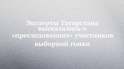 Эксперты Татарстана высказались о «преследованиях» участников выборной гонки - chelny-izvest.ru - респ. Татарстан