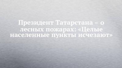 Рустам Минниханов - Президент Татарстана – о лесных пожарах: «Целые населенные пункты исчезают» - chelny-izvest.ru - респ. Татарстан - респ. Марий Эл
