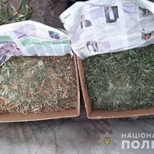 У жителя Запорожской области изъяли 7 кг марихуаны. Фото - reporter-ua.com - Украина - Запорожская обл. - Запорожье