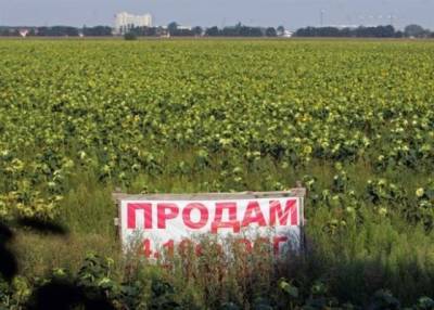 Олег Ляшко - «Значит будут грабить»: земельная реформа убьет «украинскость» Украины - eadaily.com - Украина