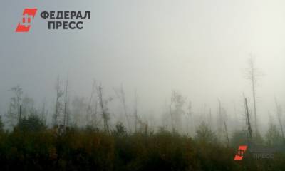 Евгений Куйвашев - Екатеринбург окутал смог от лесных пожаров - fedpress.ru - Екатеринбург - Свердловская обл.