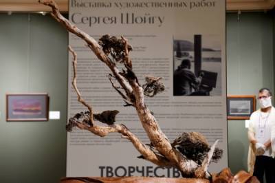 Сергей Шойгу - Рустам Минниханов - В Казанском Кремле открылась выставка работ Шойгу - aif.ru - Россия - респ. Татарстан