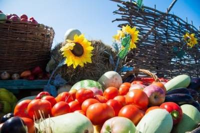 В Волгограде открыли ярмарку продуктов для здорового питания - volg.mk.ru - Волгоград